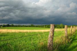 Farmland