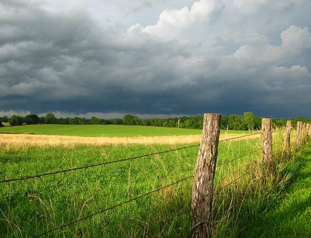 Farmland